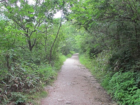 산촌펜션 이미지