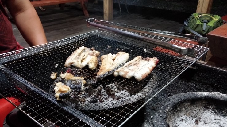 캠핑장어 이미지