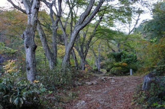 산촌2민박 이미지