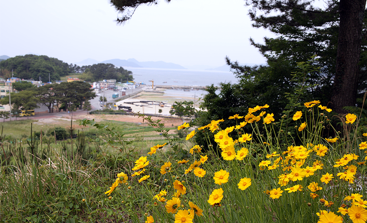 도레미펜션 이미지