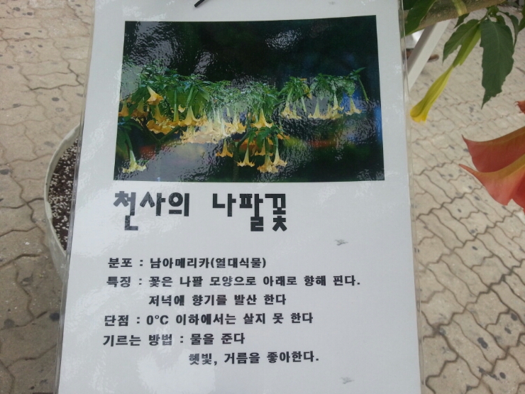 부민세수대야냉면 이미지