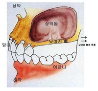 웰치과의원 이미지