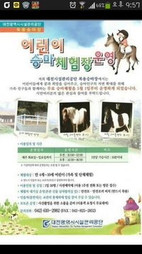 유성승마장 이미지