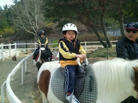 유성승마장 이미지