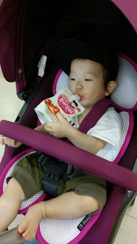 베베담이 이미지