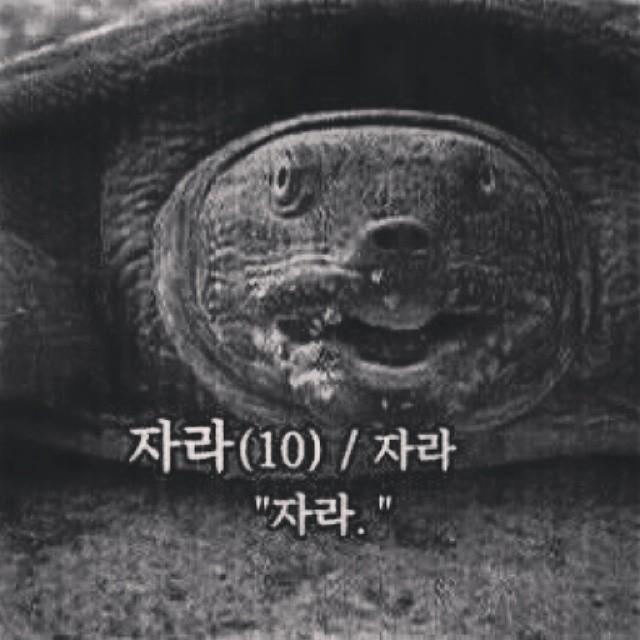 주타 이미지