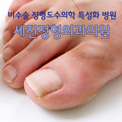 세진정형외과의원 이미지
