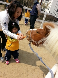 유성승마장 이미지