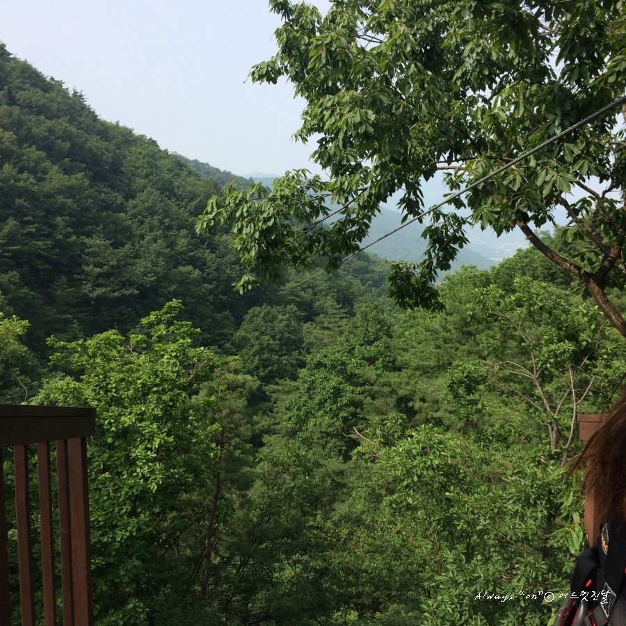 짚라인문경 이미지