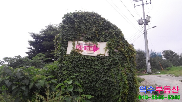 얼음골한옥펜션 이미지