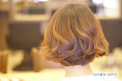 봄파마 이미지