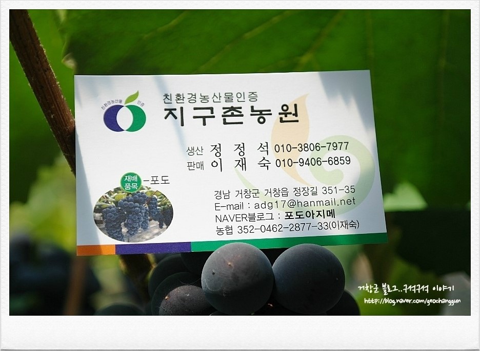 지구촌농원 이미지