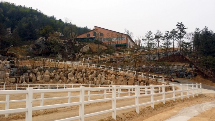 더블유홀스랜드 이미지
