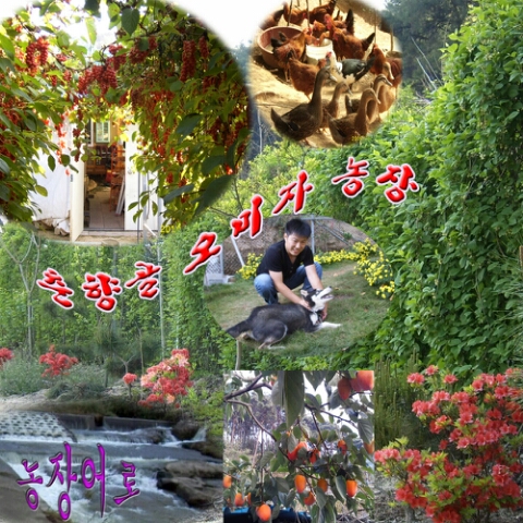 개구리노래방 이미지