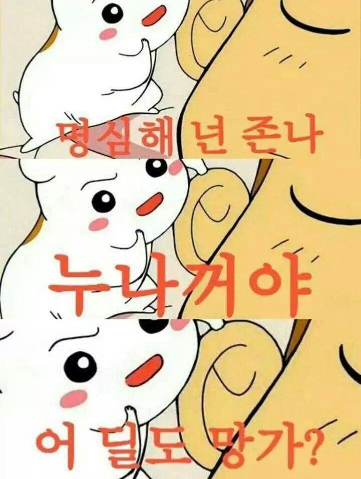 포토펀 이미지