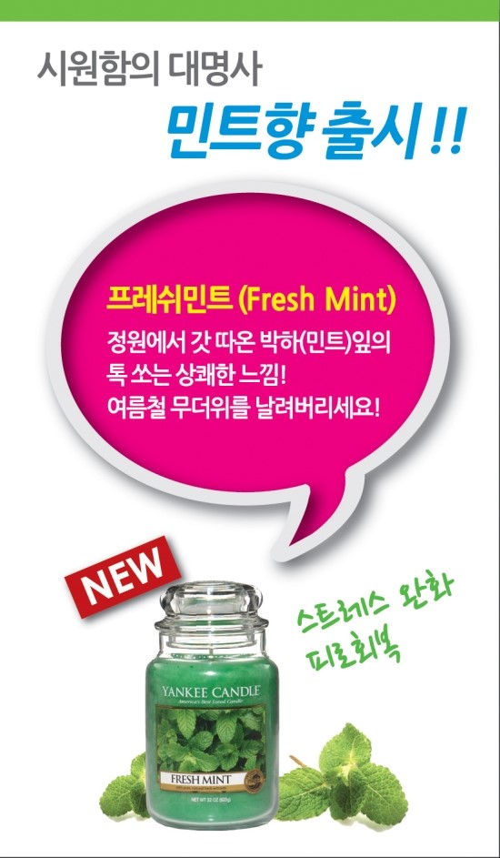 양키캔들부산 이미지