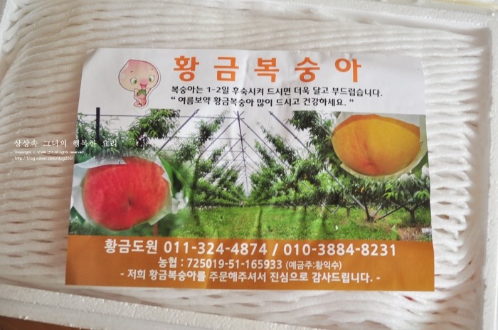 황금농원(복숭아) 이미지