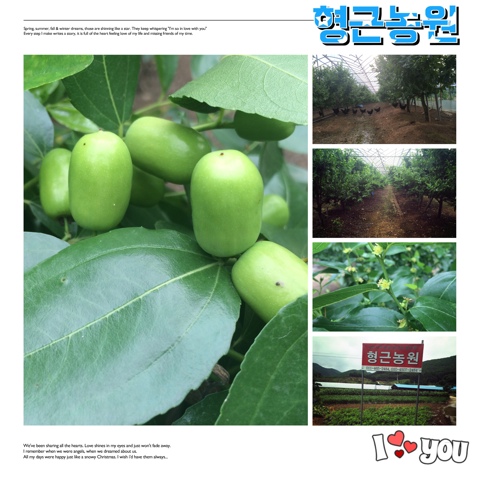 형근농원 이미지
