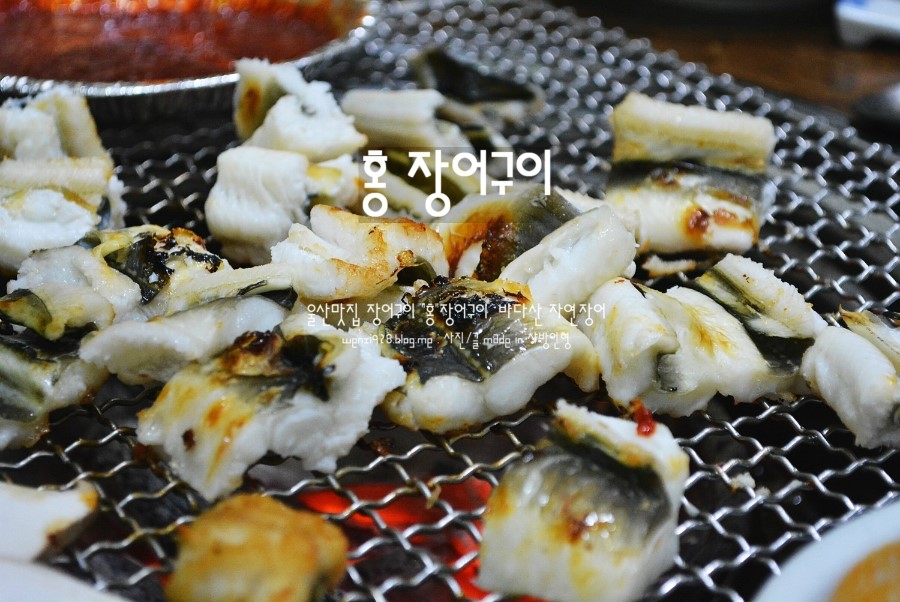 바다산장어 이미지