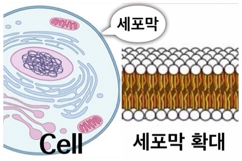 구미퍼스널트레이닝웰라인휘트니스 이미지