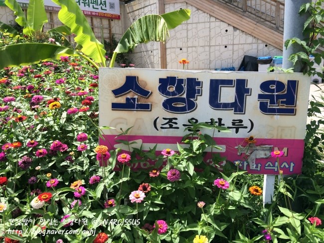 플라워소향 이미지