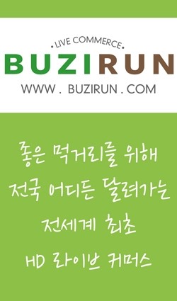 돌빌레 이미지