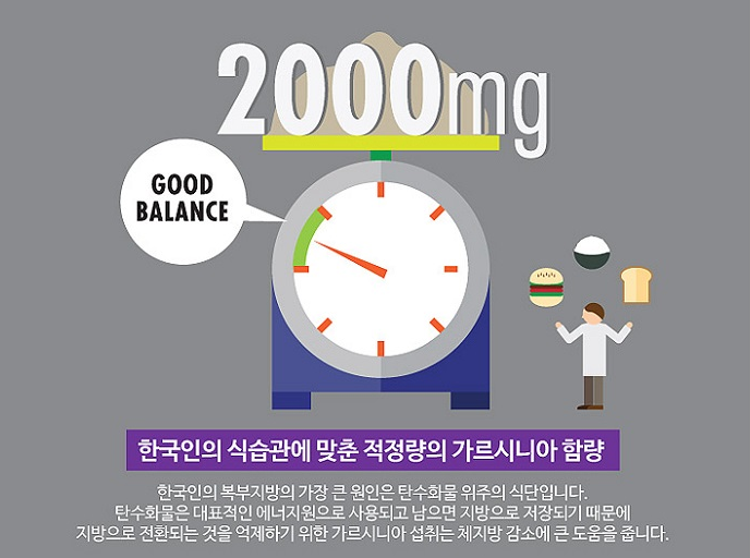디엔에이치 이미지