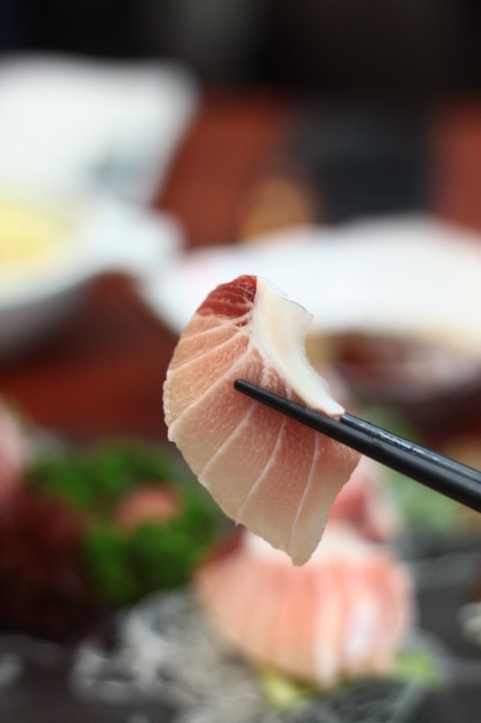 참치작가 이미지