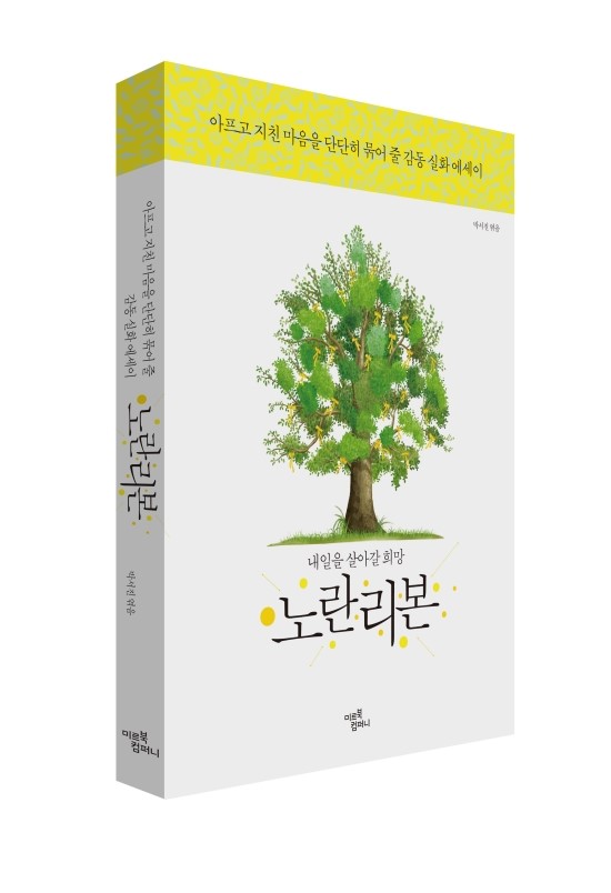 리본 컴퍼니 이미지