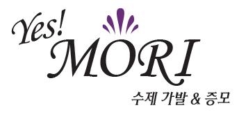 예스가발 이미지