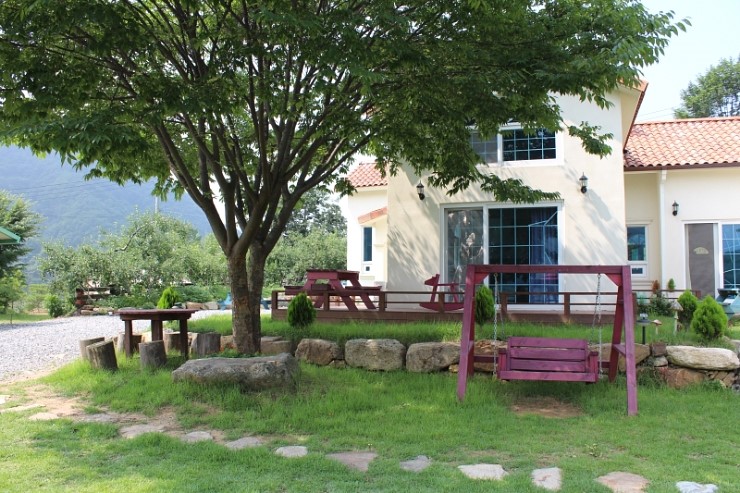 사과나무(주) 이미지