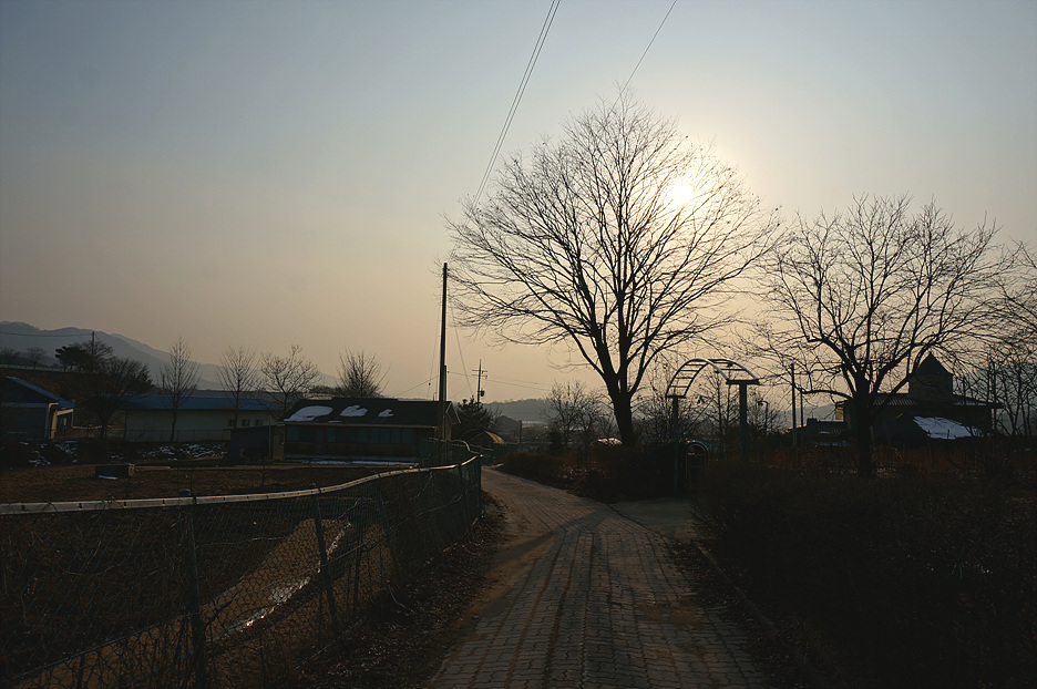 백조사 이미지