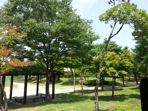 워시엔조이강서 이미지