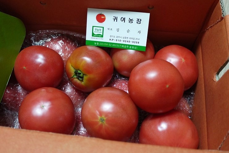 귀여농장 이미지