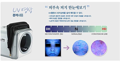 켈리스파 이미지