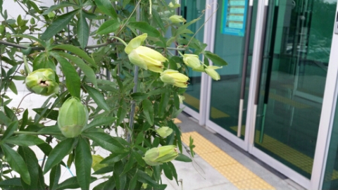 법인참샘 이미지