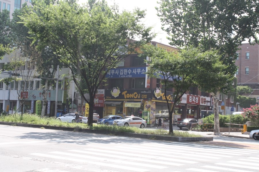 중국성반점 이미지