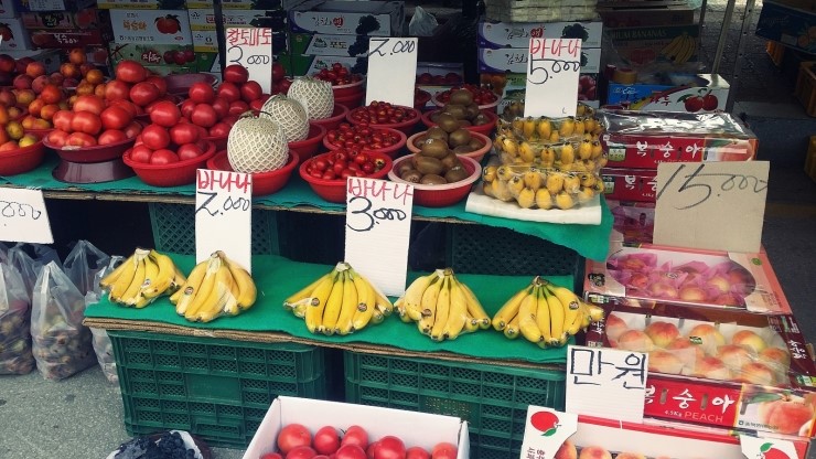 정이청과 이미지