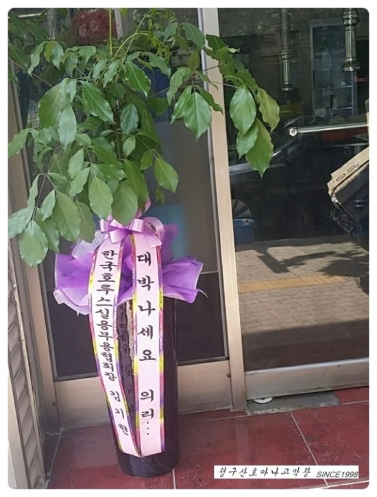 청구산호아나고 이미지