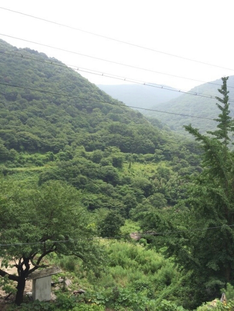 원동자연휴양림 이미지
