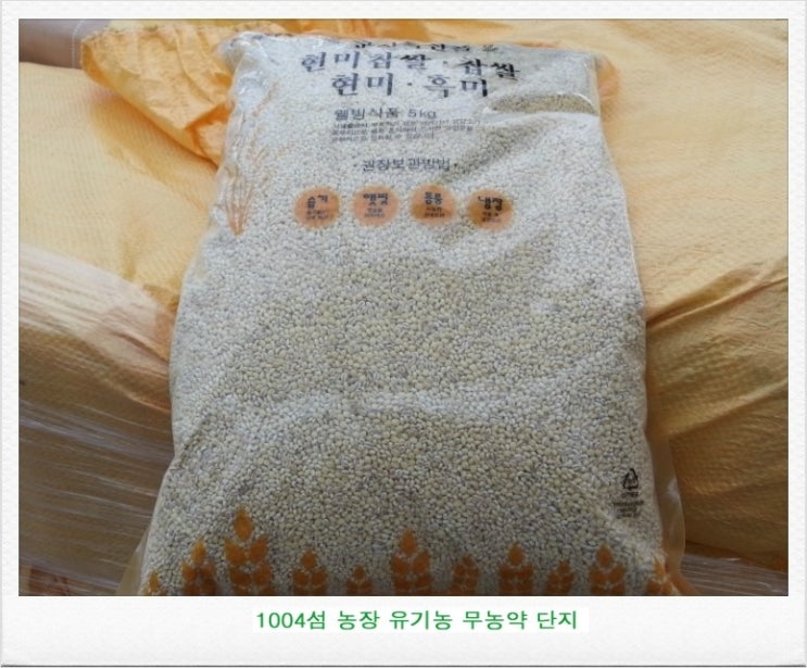 생금들 이미지