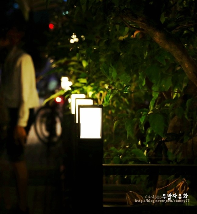 다시설레다 이미지