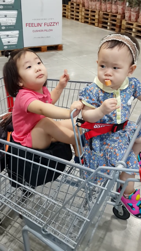 예블리콩 이미지