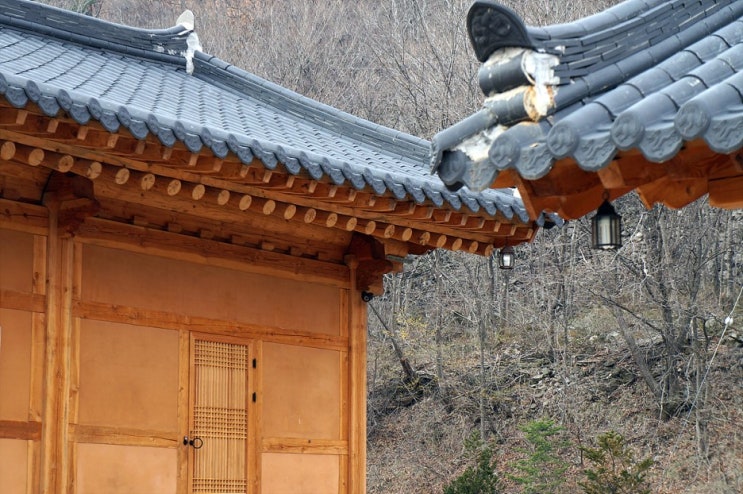 정성가득 영농조합법인 이미지