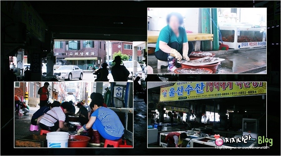 강구미주구리회 이미지