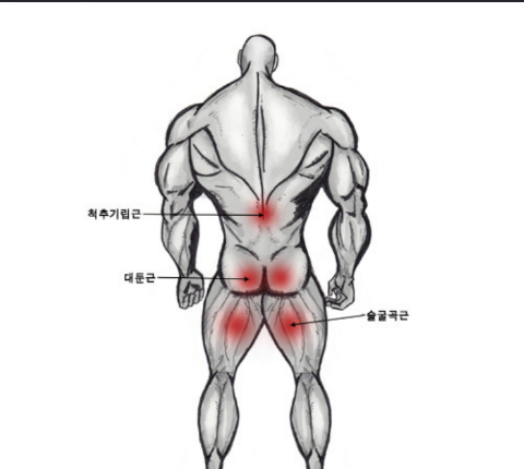 굿모닝헬스 이미지
