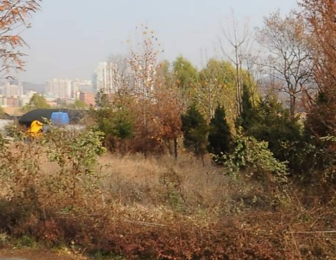 서울세차장&타이어 이미지