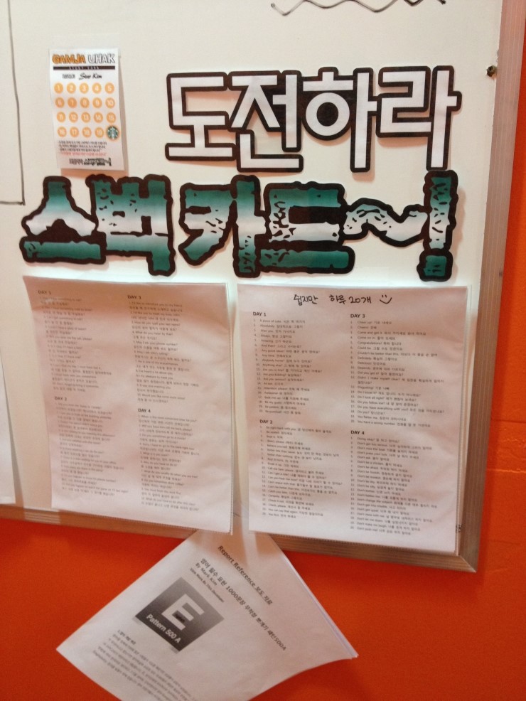 감자유학 이미지