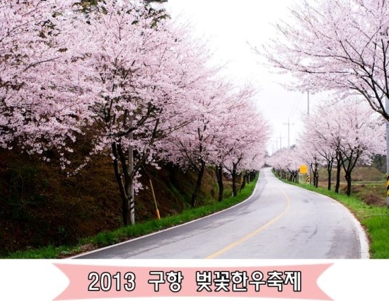벚꽃한우 이미지