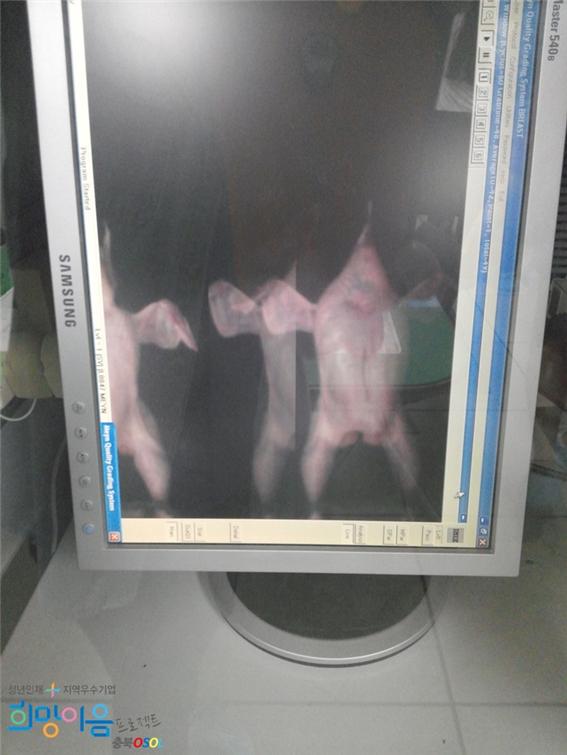 (주)체리부로 이미지